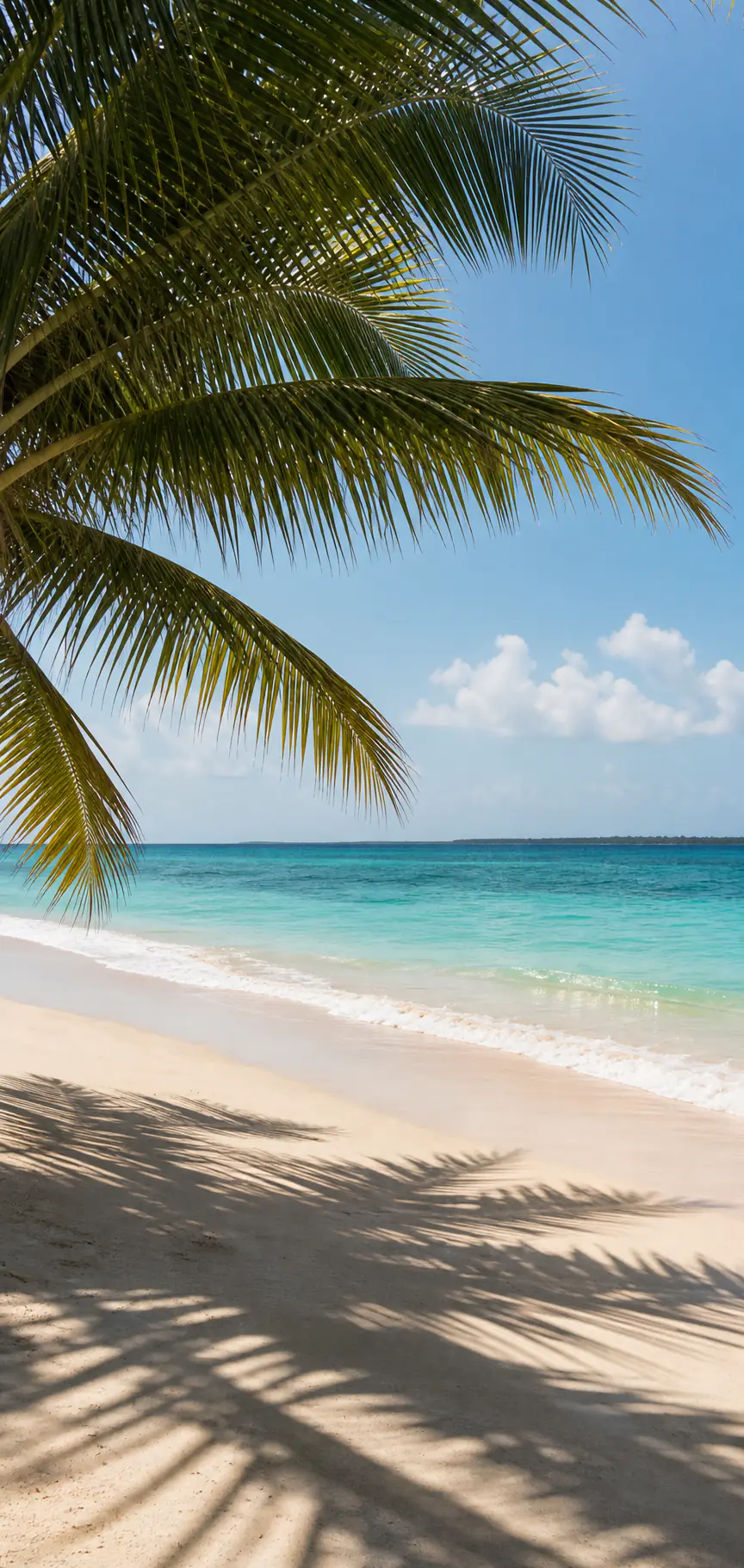 Caribbean beach with palm fronds and turquoise water